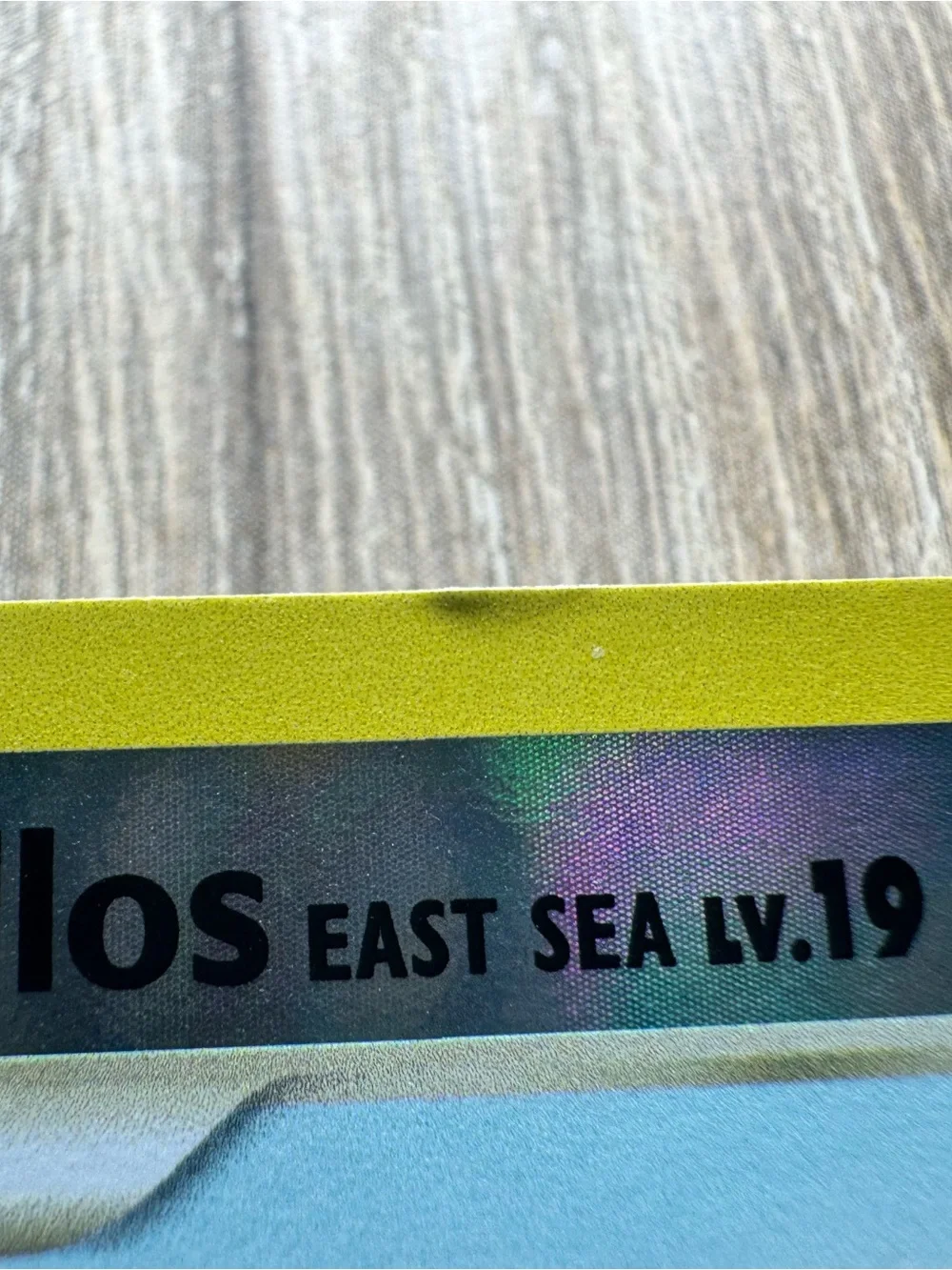 Shellos East Sea #73/Pokemon Majestic Dawn